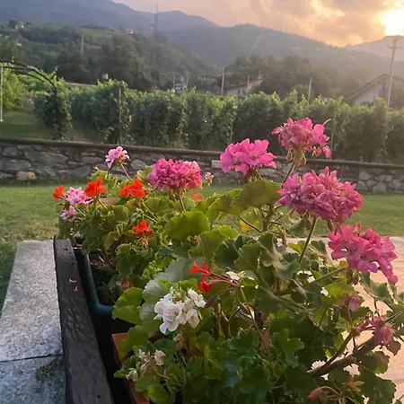 アパート Chez Pepe Louis *