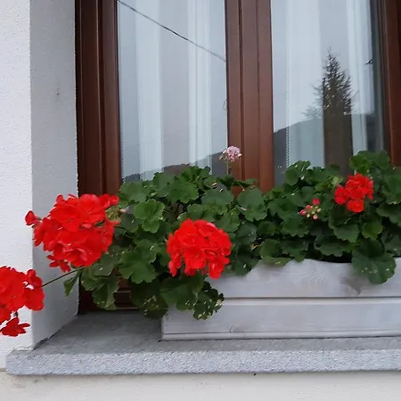 דירה Chez Pepe Louis אאוסטה